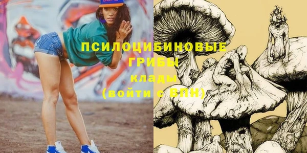 MESCALINE Алзамай