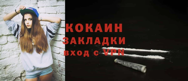 ешки Алексин