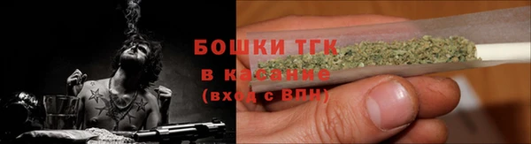 ешки Алексин