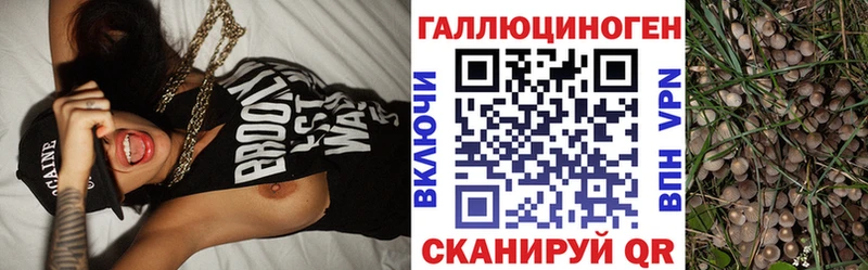 Псилоцибиновые грибы Magic Shrooms купить наркотики цена Темрюк
